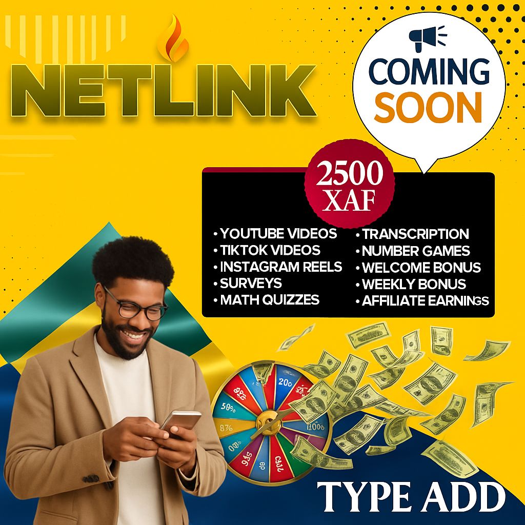 NETLINK INTERNATIONAL